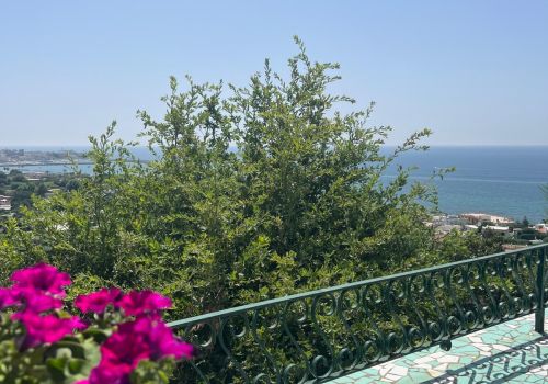 Villa San Francesco Garden a Ischia