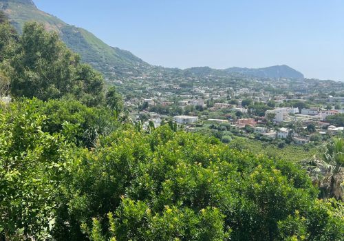 Villa San Francesco Garden a Ischia