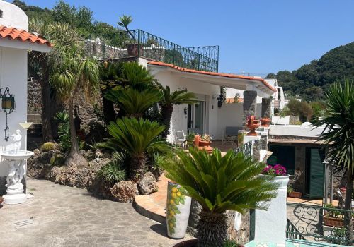 Villa San Francesco Garden a Ischia