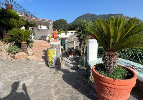 Villa San Francesco Garden a Ischia