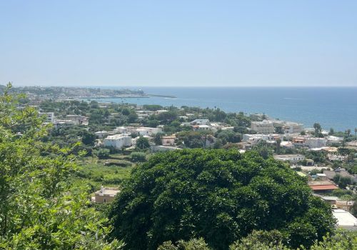Villa San Francesco Garden a Ischia