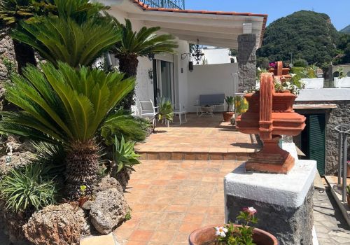 Villa San Francesco Garden a Ischia